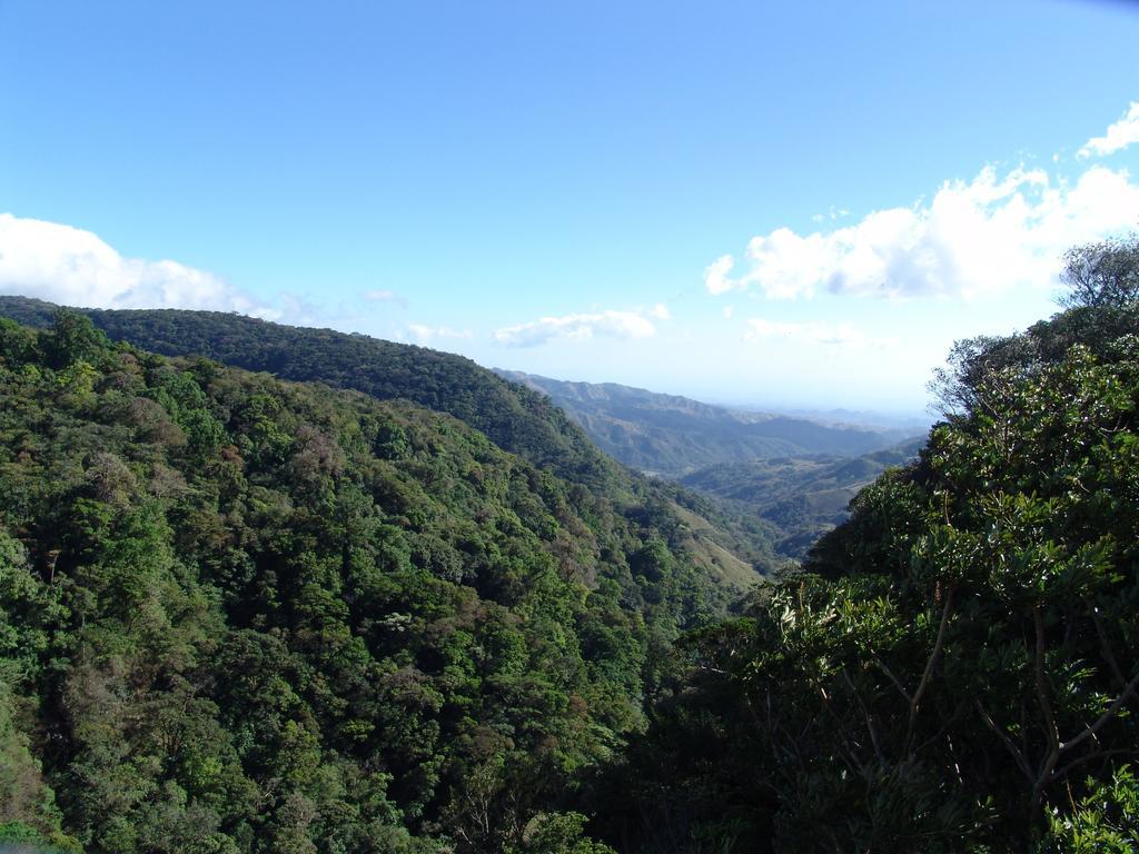 Hotel Las Orquideas Monteverde Exterior photo