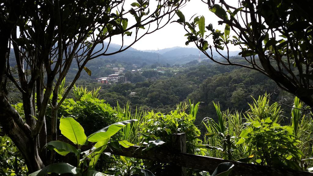 Hotel Las Orquideas Monteverde Exterior photo