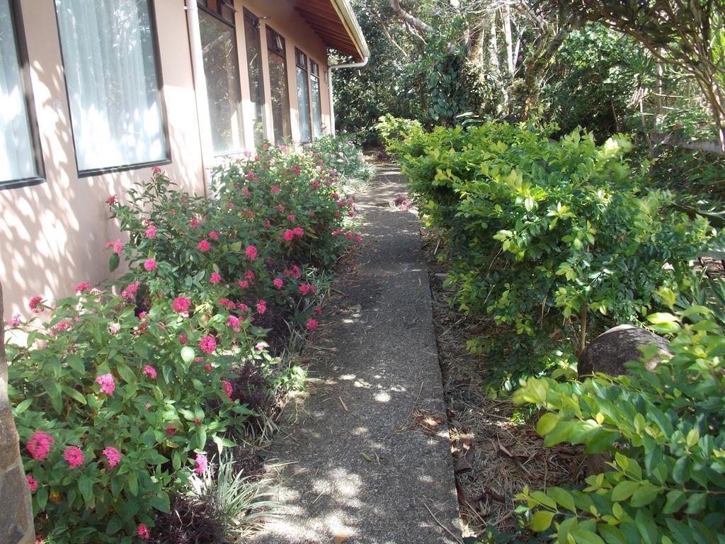 Hotel Las Orquideas Monteverde Exterior photo