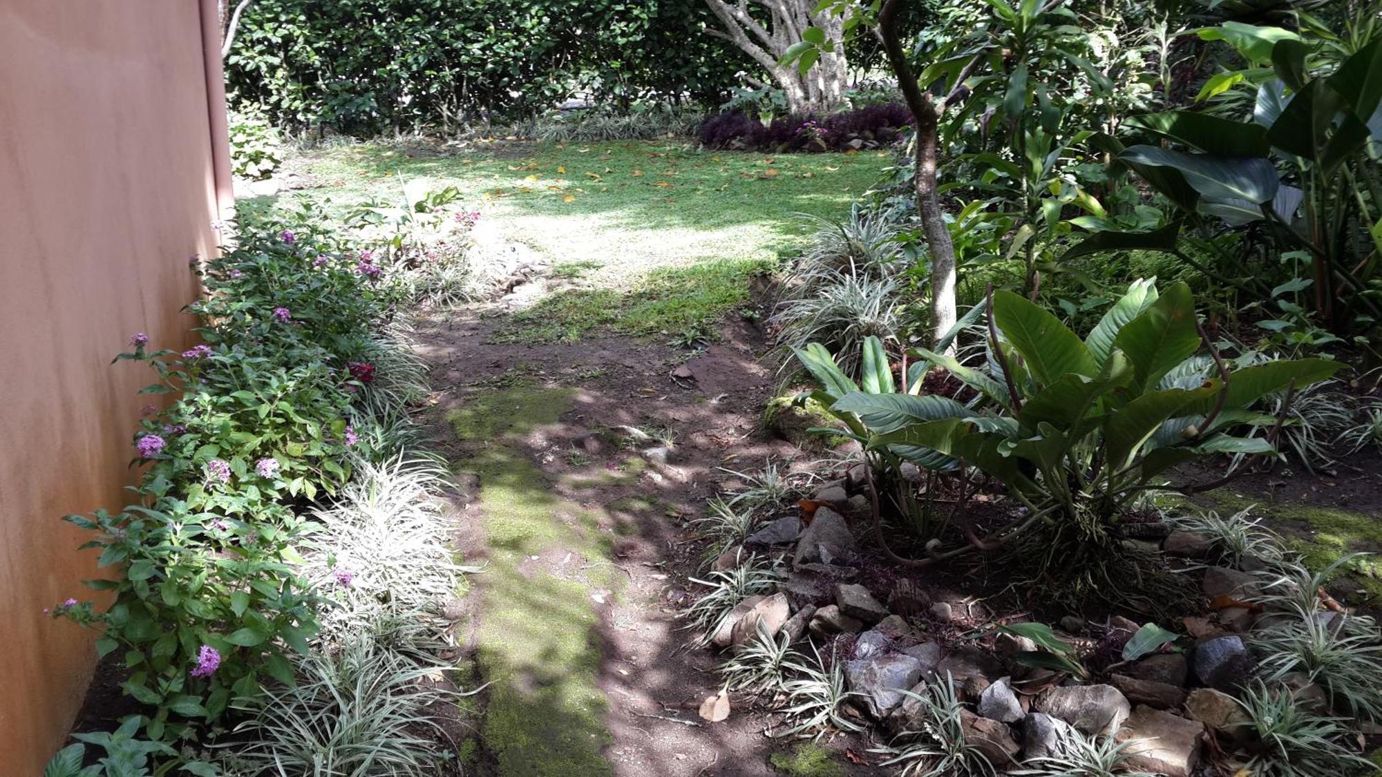 Hotel Las Orquideas Monteverde Exterior photo